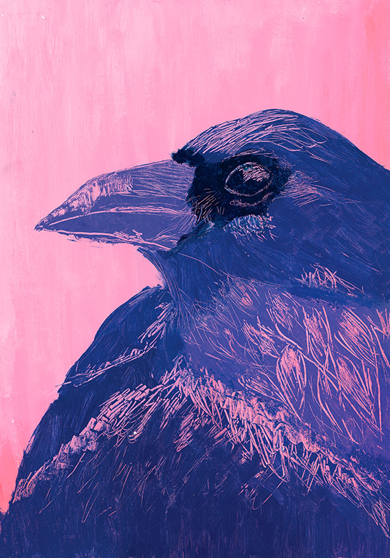 Sgraffito Crow